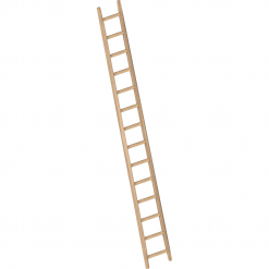 Layher Bau-Holzanlegeleiter 1036